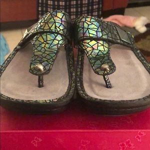 Alegria Carina techtonic 39